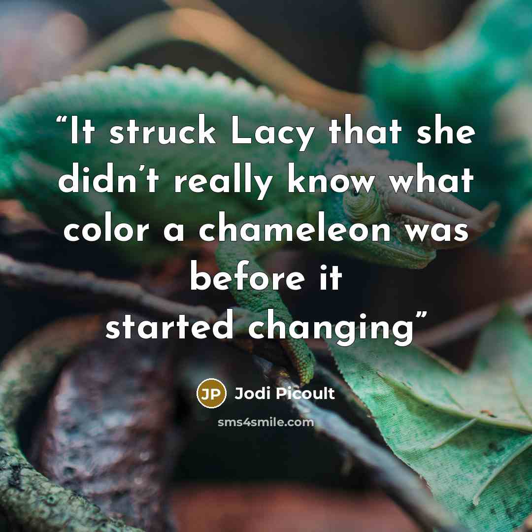 “It struck Lacy that she didn’t really know what color a chameleon was before it started changing” quote by Jodi Picoult