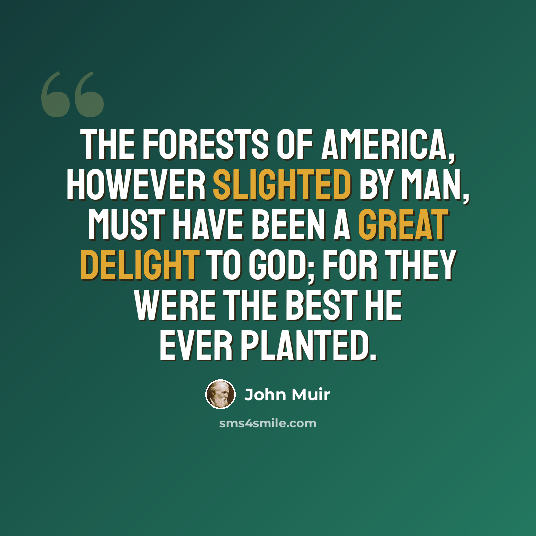 “The forests of America, however slighted by man, must have been a great delight to God; for they were the best he ever planted.” quote by John Muir