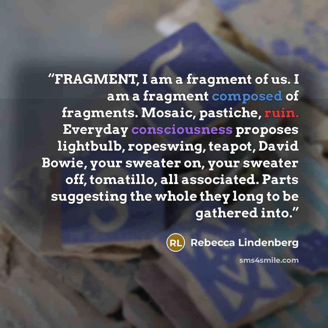 “FRAGMENT, I am a fragment of us. I am a fragment composed of fragments. Mosaic, pastiche, ruin. Everyday consciousness proposes lightbulb, ropeswing, teapot, David Bowie, your sweater on, your sweater off, tomatillo, all associated. Parts suggesting the whole they long to be gathered into.” quote by Rebecca Lindenberg