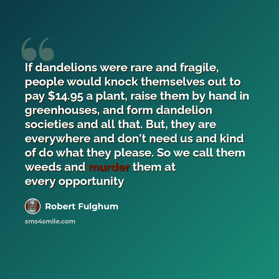 “If dandelions were rare and fragile, people would knock themselves out to pay $14.95 a plant, raise them by hand in greenhouses, and form dandelion societies and all that. But, they are everywhere and don't need us and kind of do what they please. So we call them weeds and murder them at every…” quote by Robert Fulghum