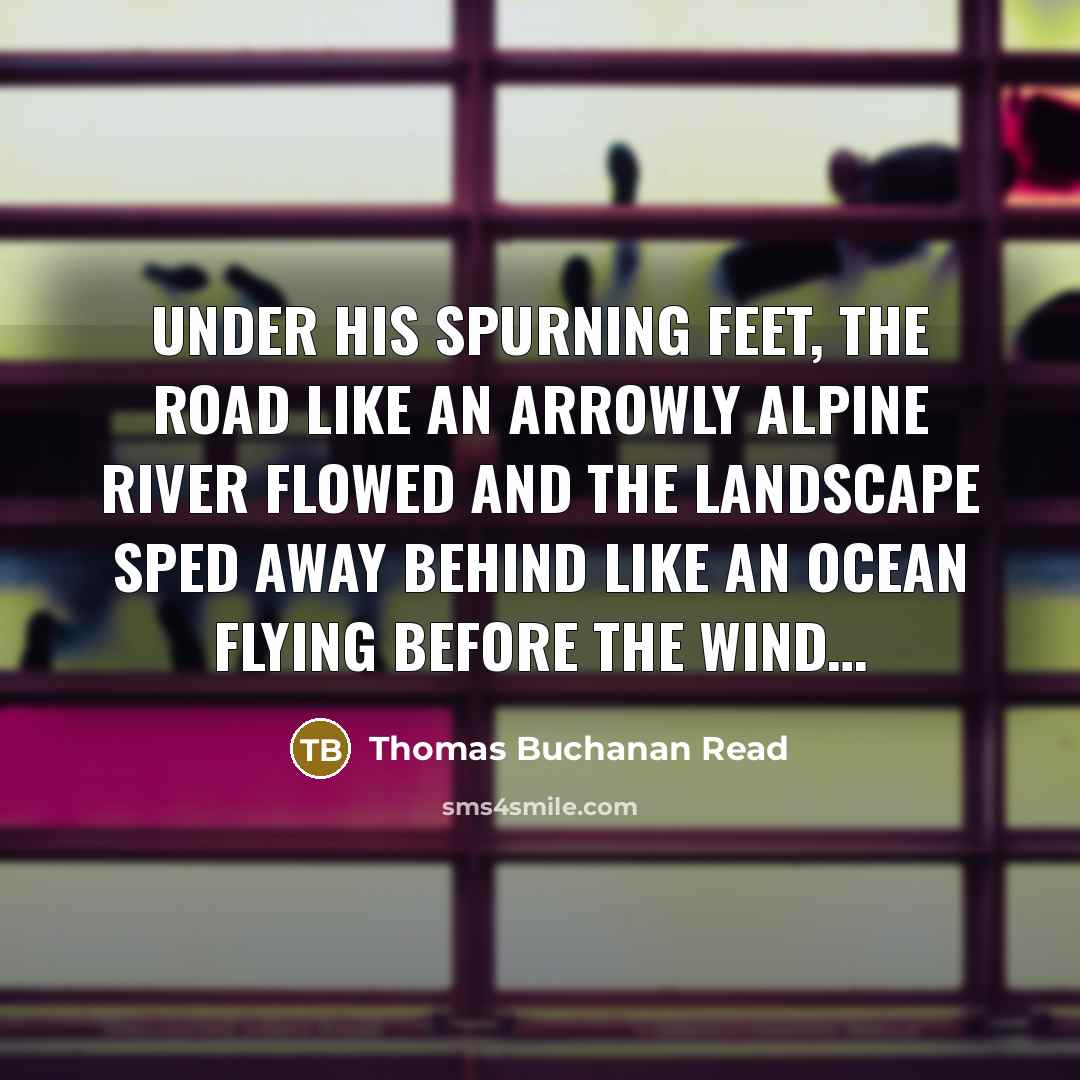 “Under his spurning feet, the road Like an arrowly alpine river flowed And the landscape sped away behind Like an ocean flying before the wind…” quote by Thomas Buchanan Read