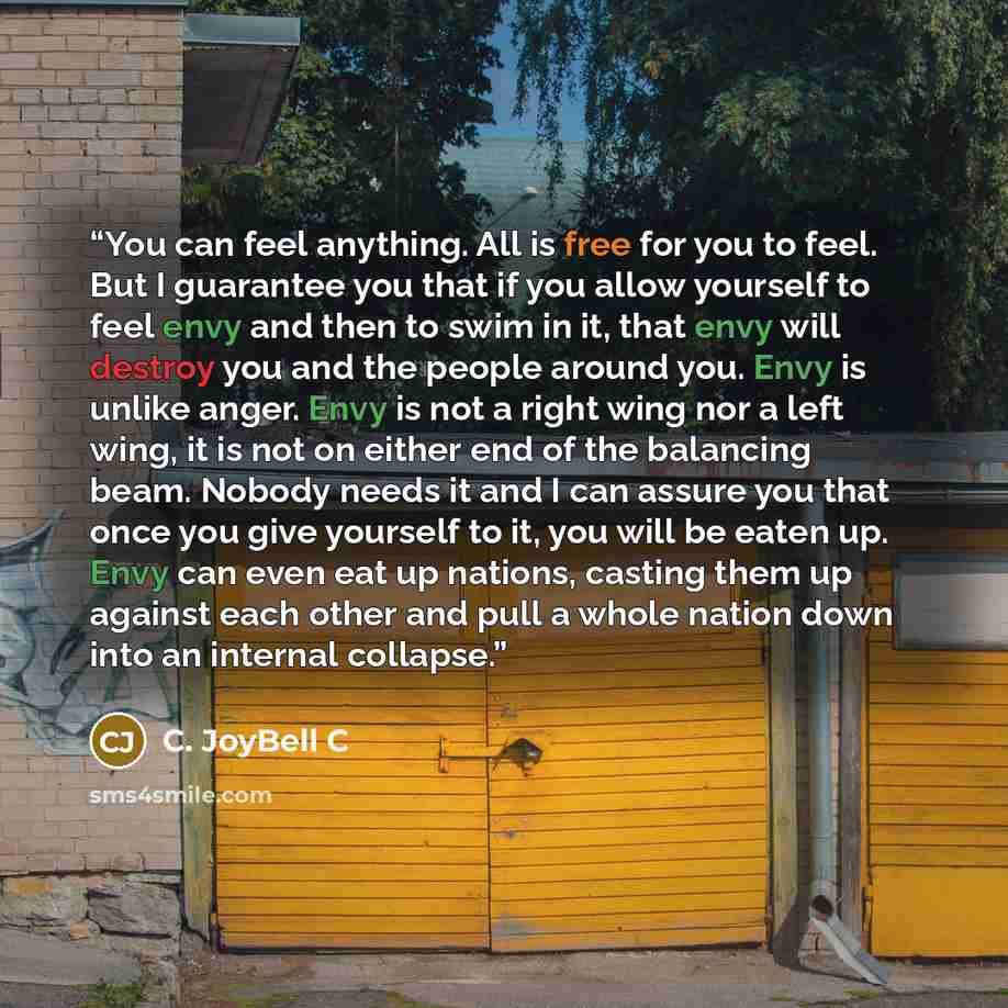 “You can feel anything. All is free for you to feel. But I guarantee you that if you allow yourself to feel envy and then to swim in it, that envy will destroy you and the people around you. Envy is unlike anger. Envy is not a right wing nor a left wing, it is not on either end of the balancing…” quote by C. JoyBell C