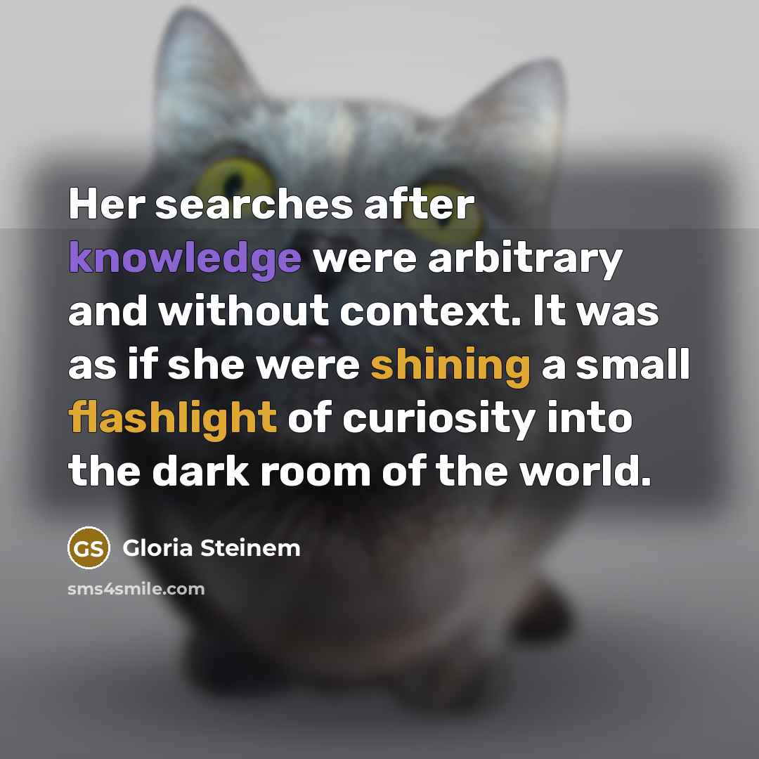 “Her searches after knowledge were arbitrary and without context. It was as if she were shining a small flashlight of curiosity into the dark room of the world.” quote by Gloria Steinem