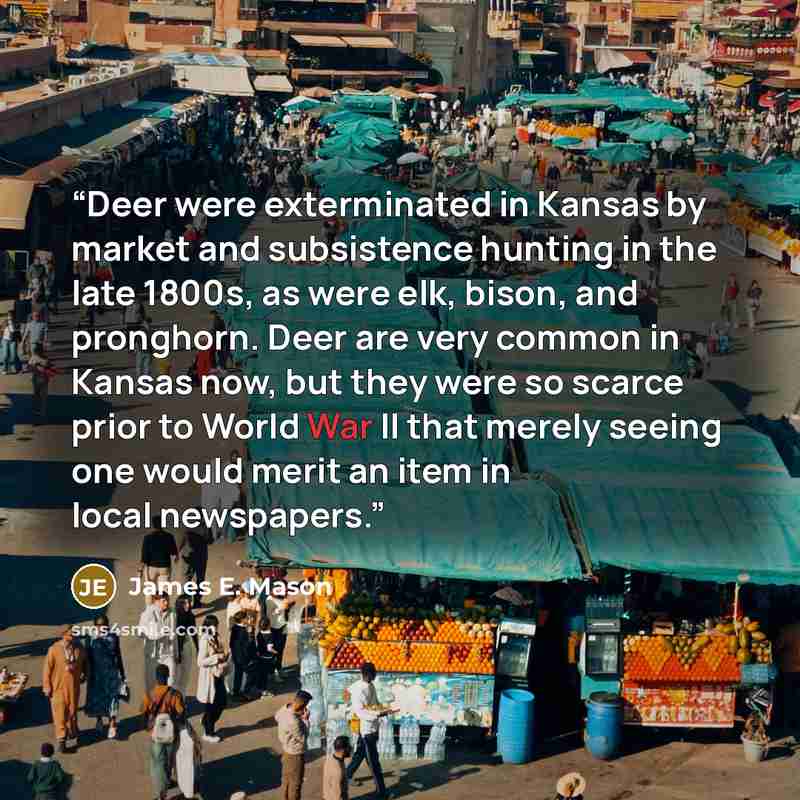 “Deer were exterminated in Kansas by market and subsistence hunting in the late 1800s, as were elk, bison, and pronghorn. Deer are very common in Kansas now, but they were so scarce prior to World War II that merely seeing one would merit an item in local newspapers.” quote by James E. Mason