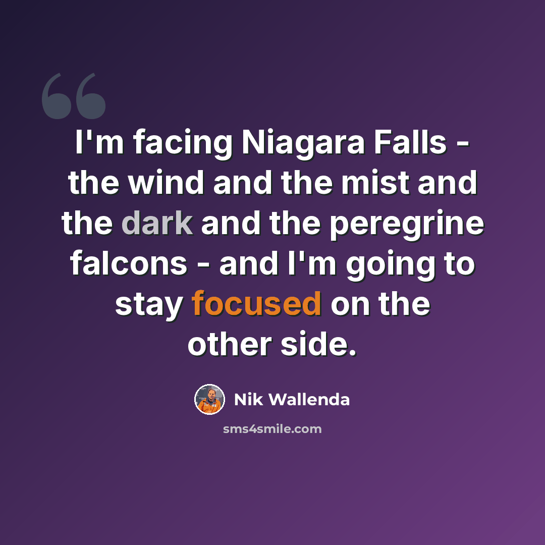 “I'm facing Niagara Falls - the wind and the mist and the dark and the peregrine falcons - and I'm going to stay focused on the other side.” quote by Nik Wallenda