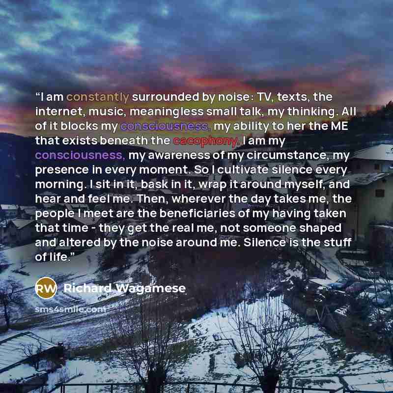“I am constantly surrounded by noise: TV, texts, the internet, music, meaningless small talk, my thinking. All of it blocks my consciousness, my ability to her the ME that exists beneath the cacophony. I am my consciousness, my awareness of my circumstance, my presence in every moment. So I…” quote by Richard Wagamese