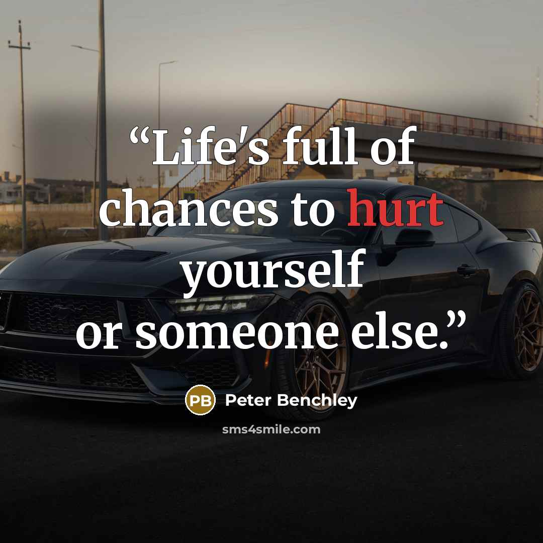 “Life's full of chances to hurt yourself or someone else.” quote by Peter Benchley