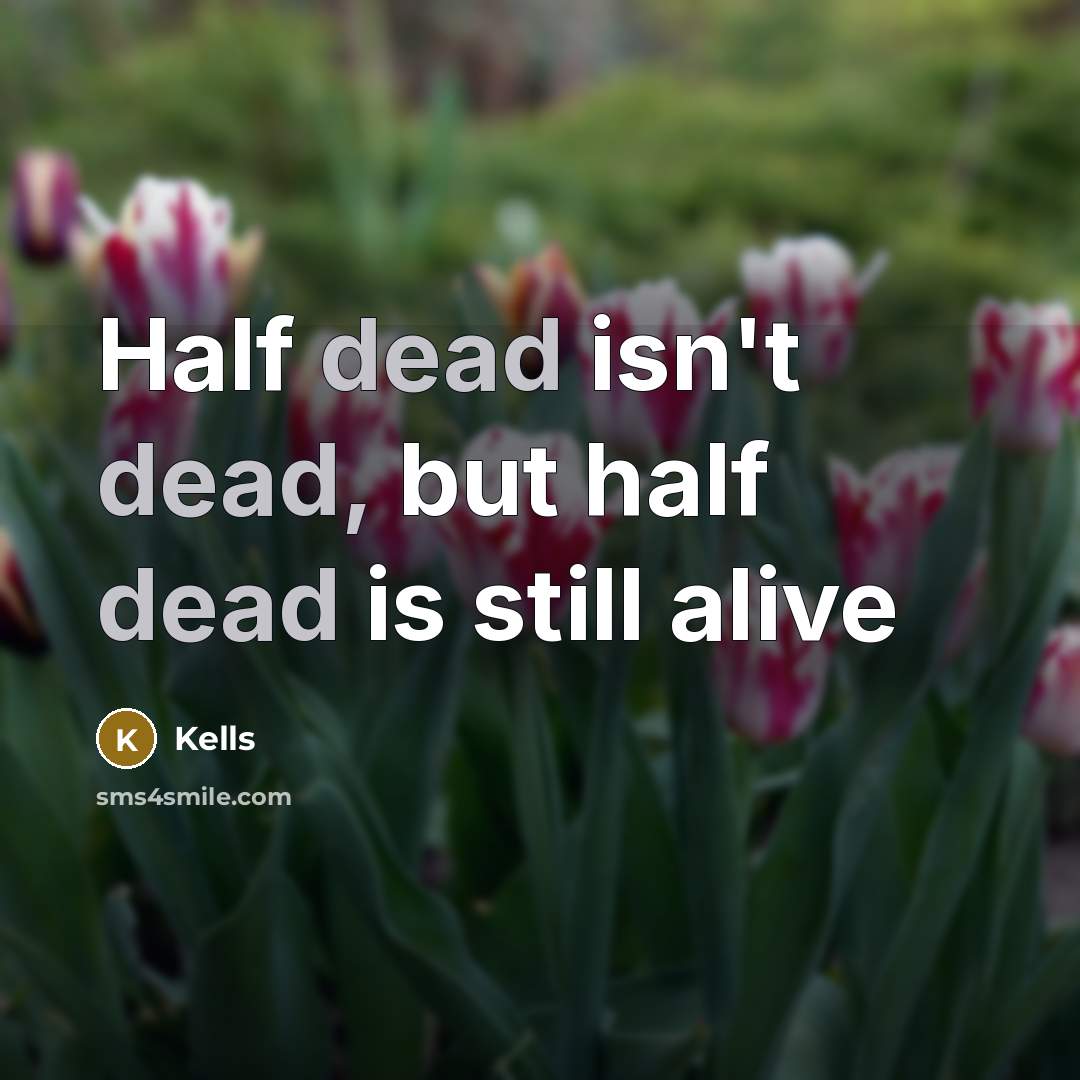 “Half dead isn't dead, but half dead is still alive” quote by Kells