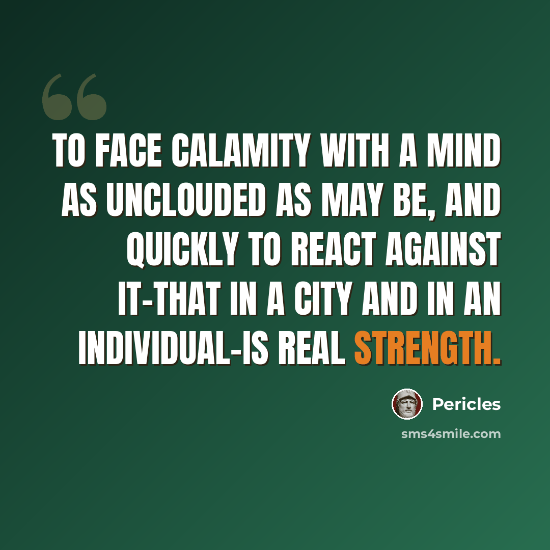 “To face calamity with a mind as unclouded as may be, and quickly to react against it-that in a city and in an individual-is real strength.” quote by Pericles
