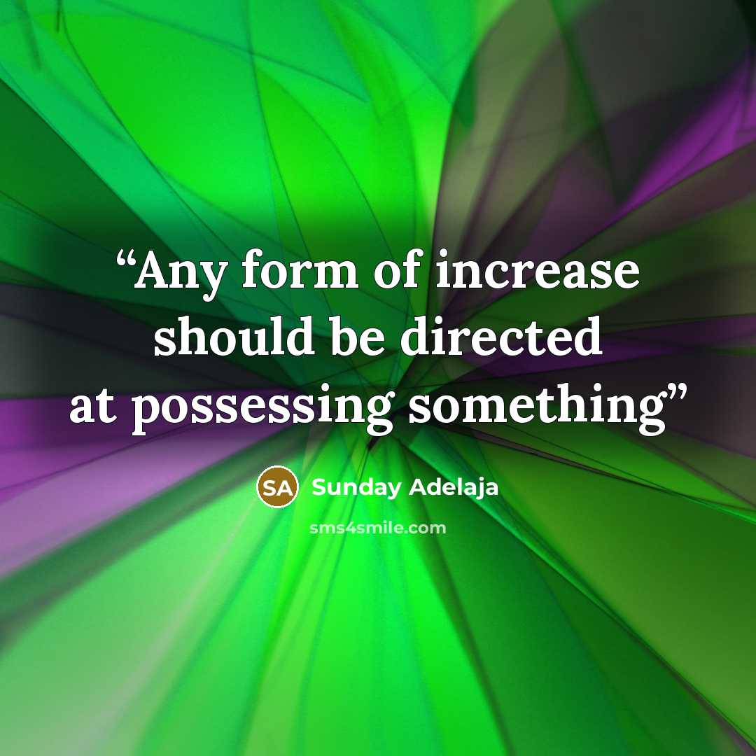 “Any form of increase should be directed at possessing something” quote by Sunday Adelaja