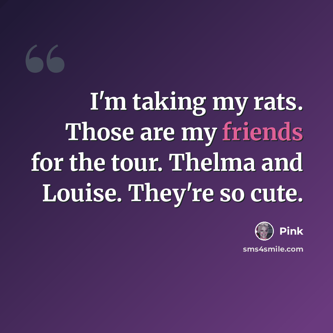 “I'm taking my rats. Those are my friends for the tour. Thelma and Louise. They're so cute.” quote by Pink