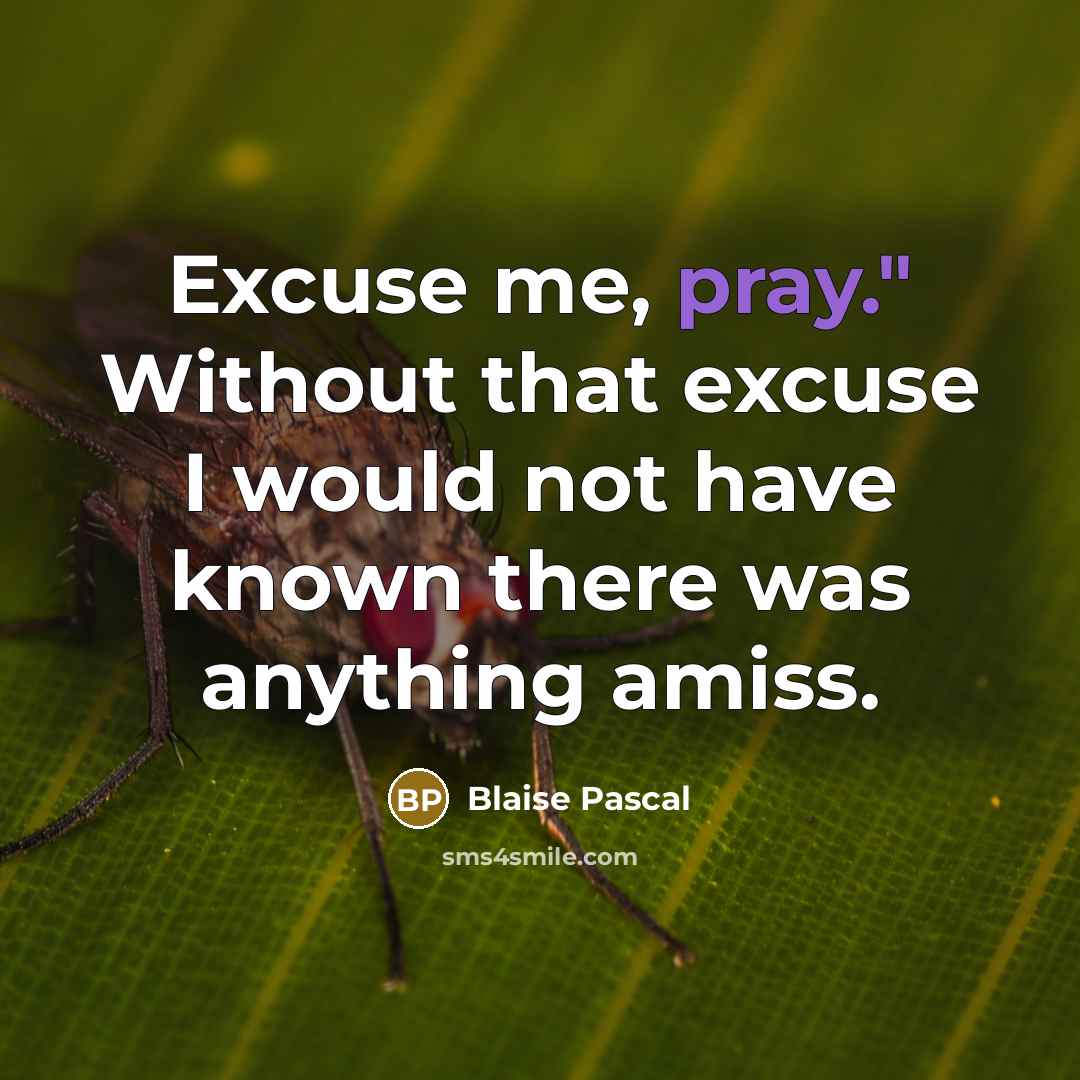 “Excuse me, pray." Without that excuse I would not have known there was anything amiss.” quote by Blaise Pascal