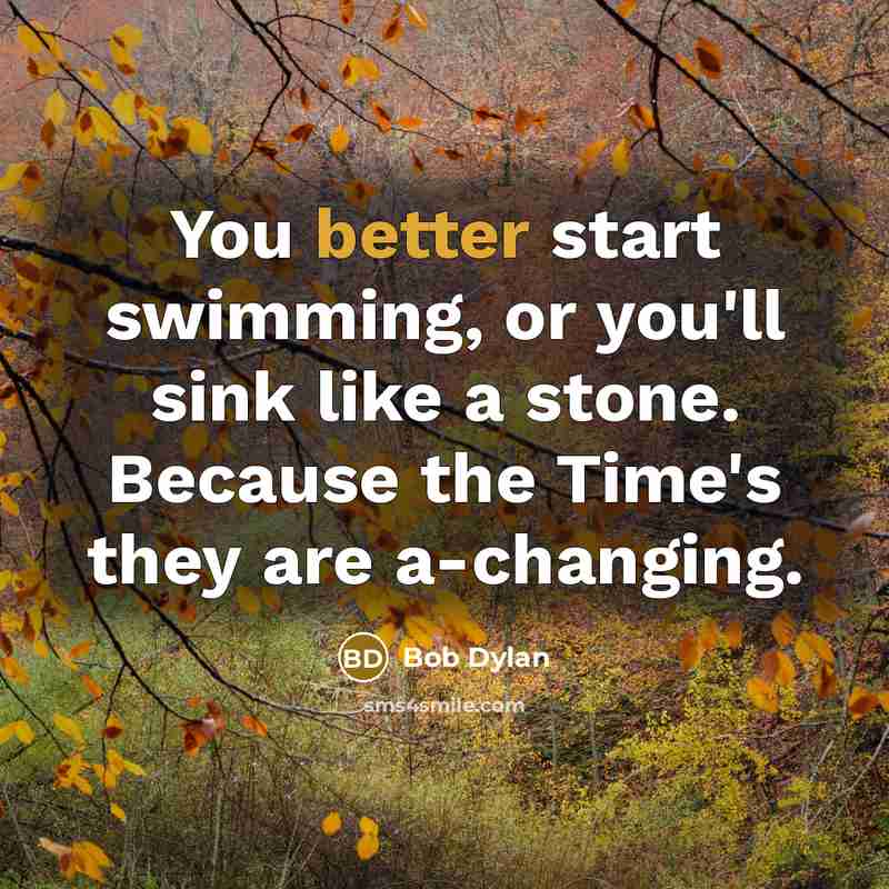 “You better start swimming, or you'll sink like a stone. Because the Time's they are a-changing.” quote by Bob Dylan
