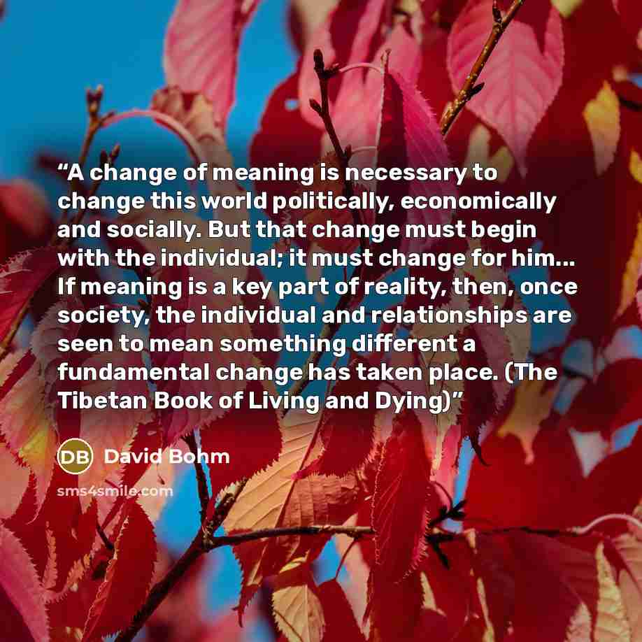 “A change of meaning is necessary to change this world politically, economically and socially. But that change must begin with the individual; it must change for him... If meaning is a key part of reality, then, once society, the individual and relationships are seen to mean something different a…” quote by David Bohm