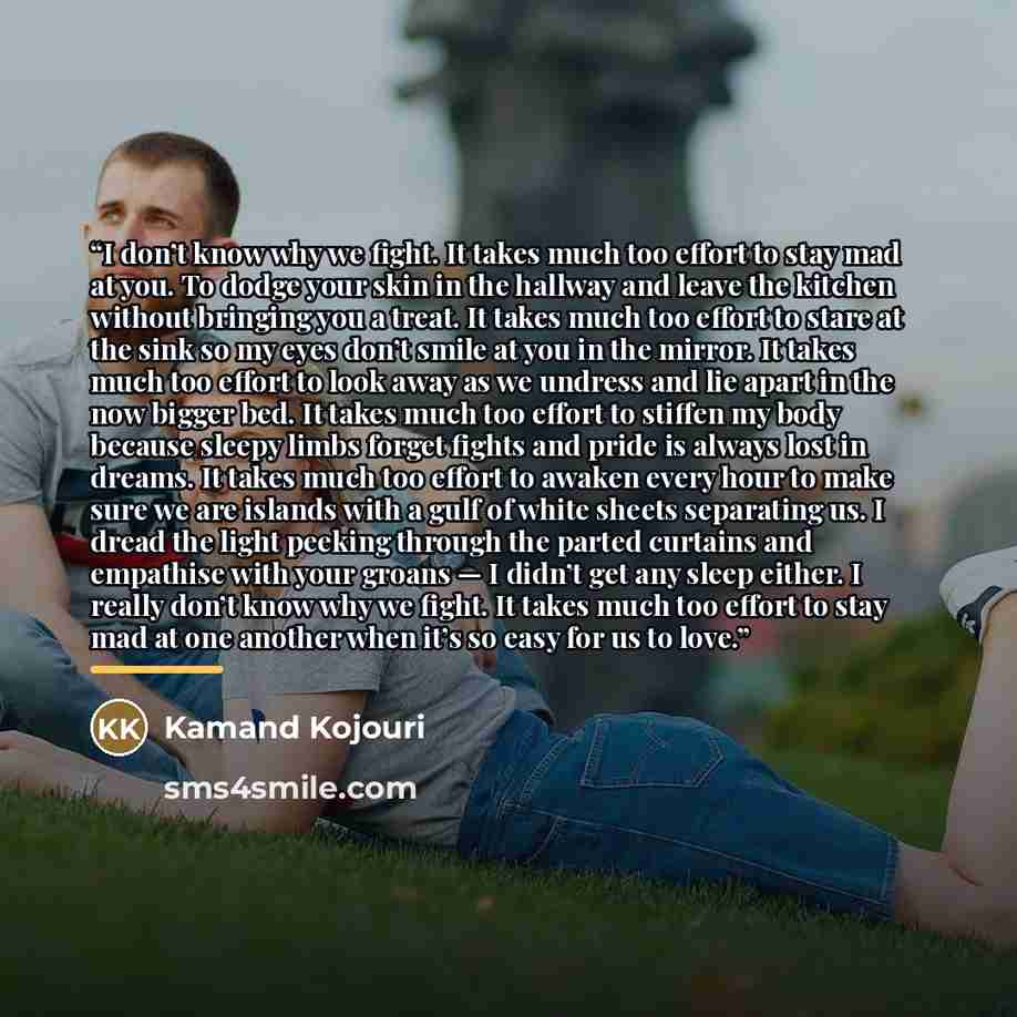 “I don’t know why we fight. It takes much too effort to stay mad at you. To dodge your skin in the hallway and leave the kitchen without bringing you a treat. It takes much too effort to stare at the sink so my eyes don’t smile at you in the mirror. It takes much too effort to look away as we…” quote by Kamand Kojouri
