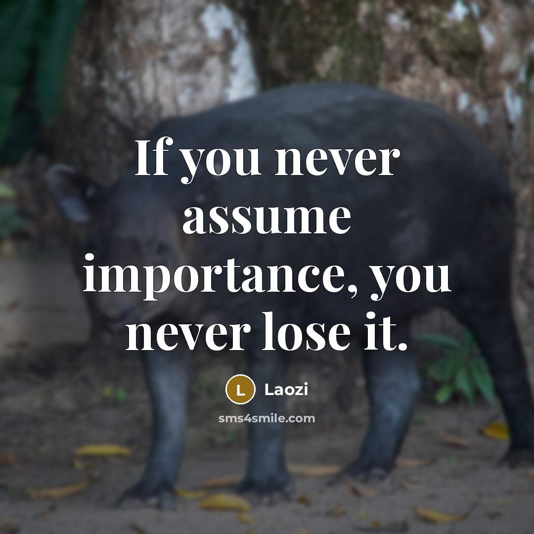 “If you never assume importance, you never lose it.” quote by Laozi