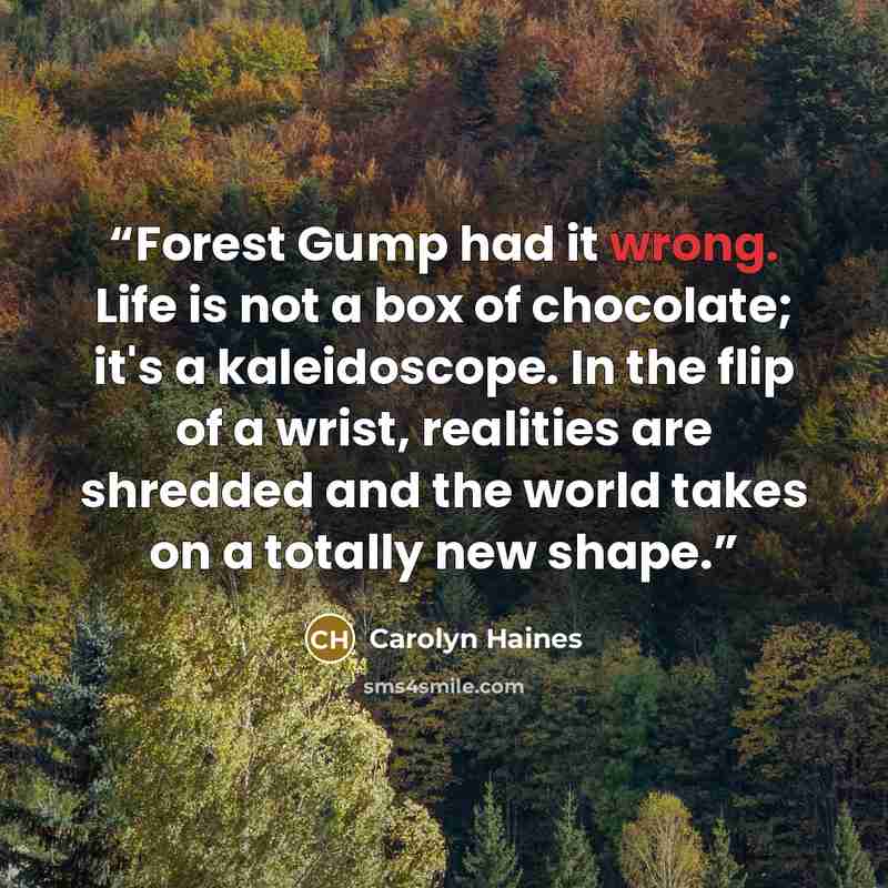“Forest Gump had it wrong. Life is not a box of chocolate; it's a kaleidoscope. In the flip of a wrist, realities are shredded and the world takes on a totally new shape.” quote by Carolyn Haines