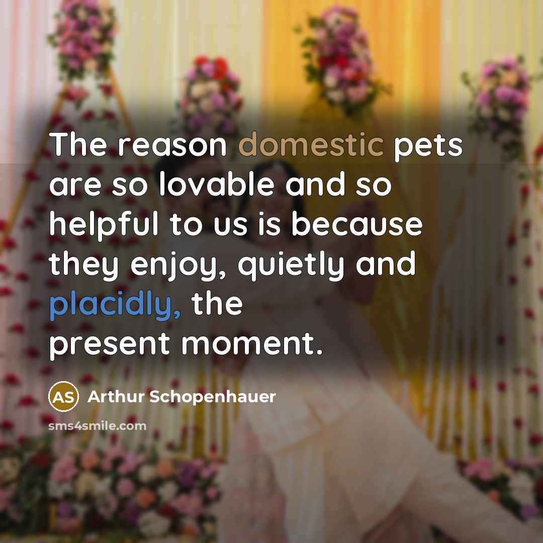 “The reason domestic pets are so lovable and so helpful to us is because they enjoy, quietly and placidly, the present moment.” quote by Arthur Schopenhauer