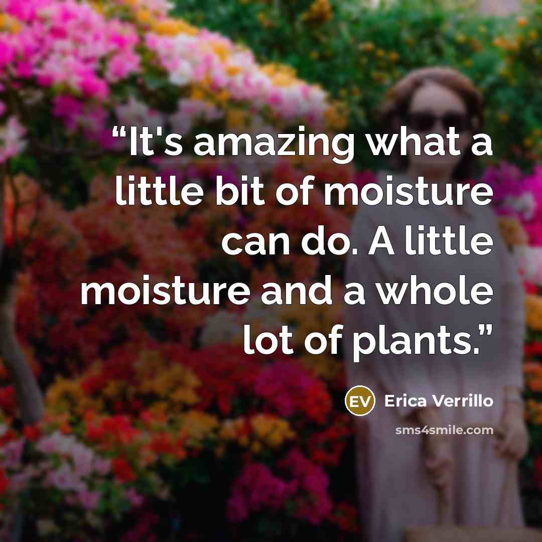 “It's amazing what a little bit of moisture can do. A little moisture and a whole lot of plants.” quote by Erica Verrillo
