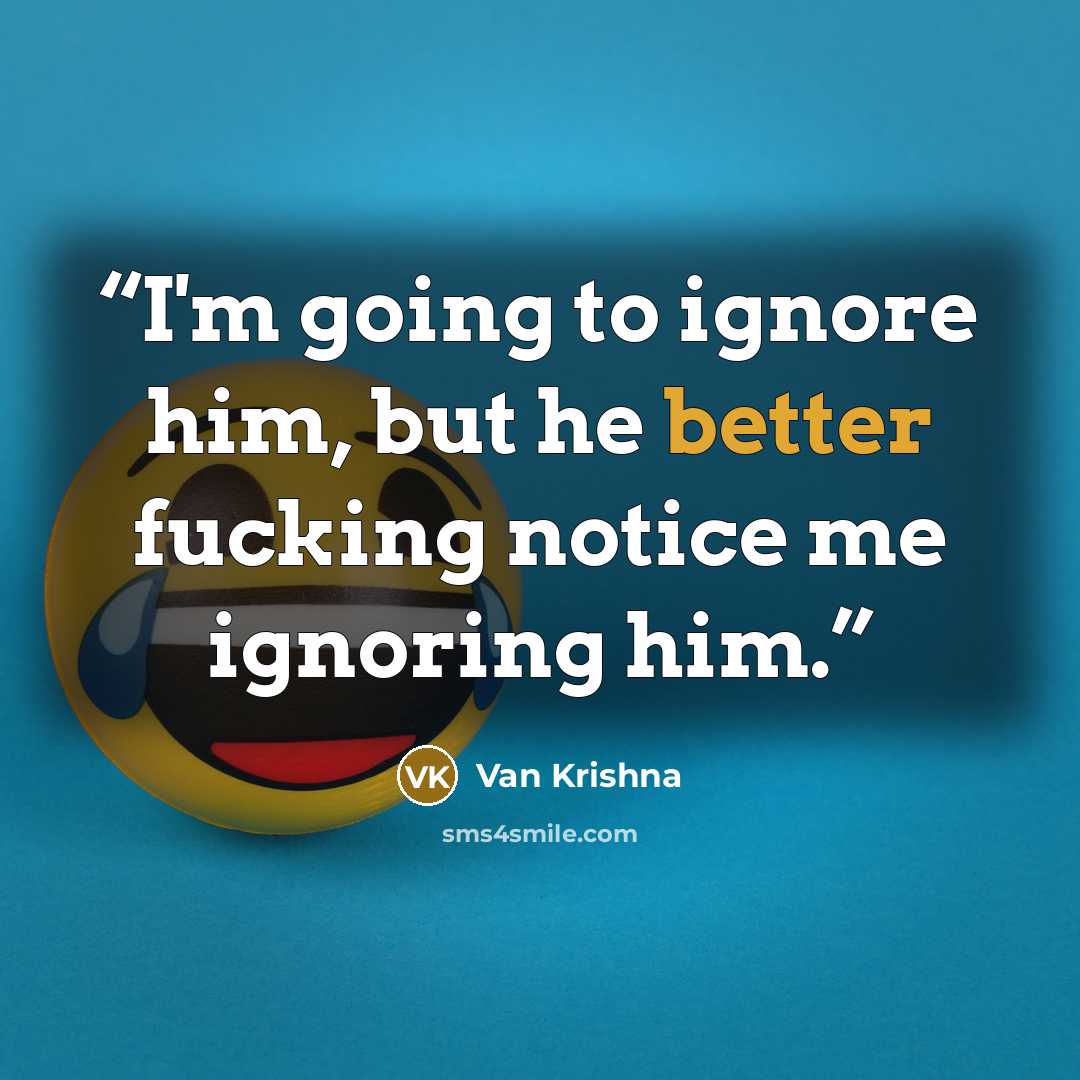 “I'm going to ignore him, but he better fucking notice me ignoring him.” quote by Van Krishna