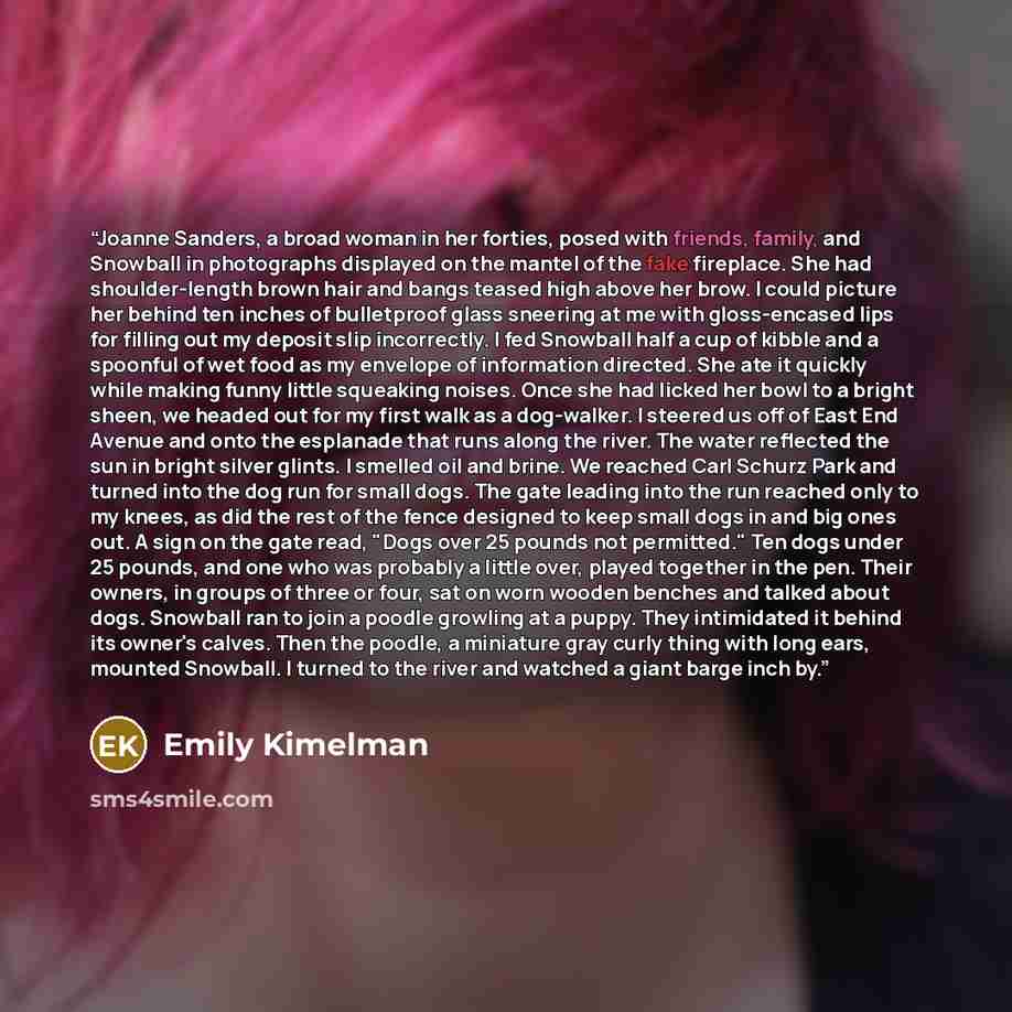 “Joanne Sanders, a broad woman in her forties, posed with friends, family, and Snowball in photographs displayed on the mantel of the fake fireplace. She had shoulder-length brown hair and bangs teased high above her brow. I could picture her behind ten inches of bulletproof glass sneering at me…” quote by Emily Kimelman