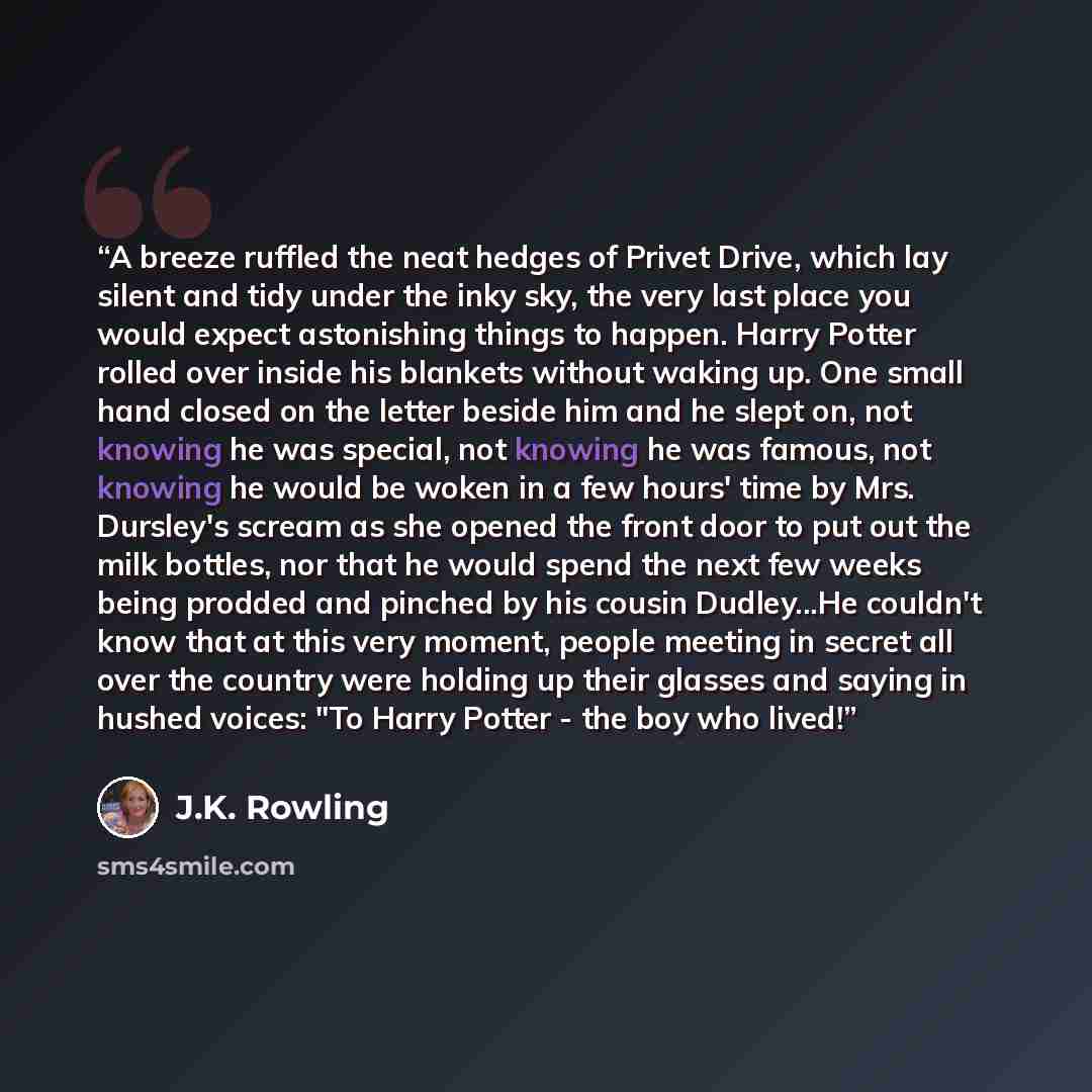 “A breeze ruffled the neat hedges of Privet Drive, which lay silent and tidy under the inky sky, the very last place you would expect astonishing things to happen. Harry Potter rolled over inside his blankets without waking up. One small hand closed on the letter beside him and he slept on, not…” quote by J.K. Rowling