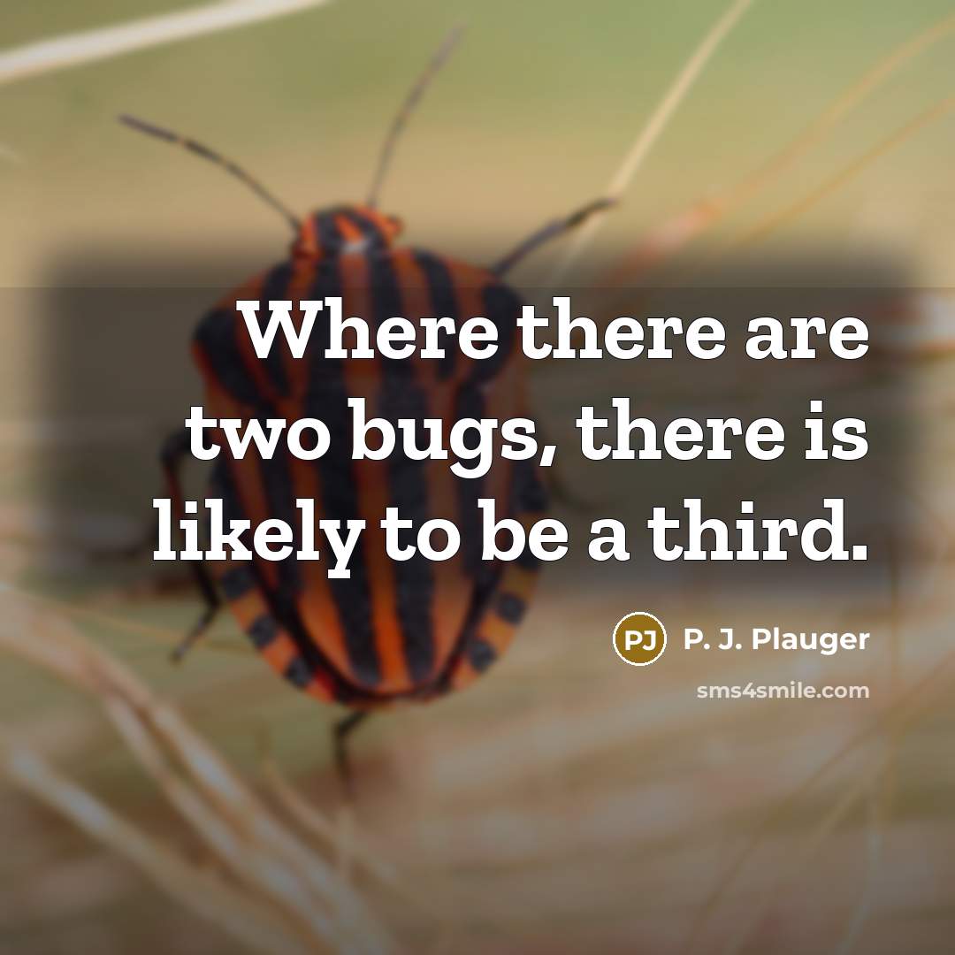 “Where there are two bugs, there is likely to be a third.” quote by P. J. Plauger