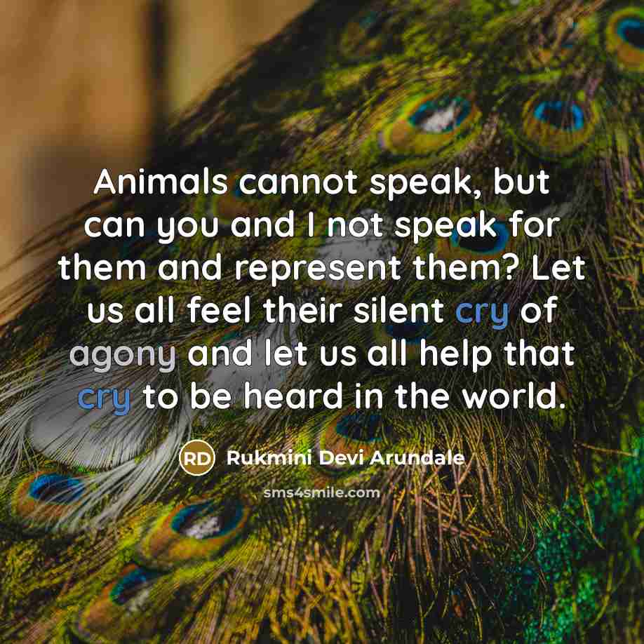 “Animals cannot speak, but can you and I not speak for them and represent them? Let us all feel their silent cry of agony and let us all help that cry to be heard in the world.” quote by Rukmini Devi Arundale