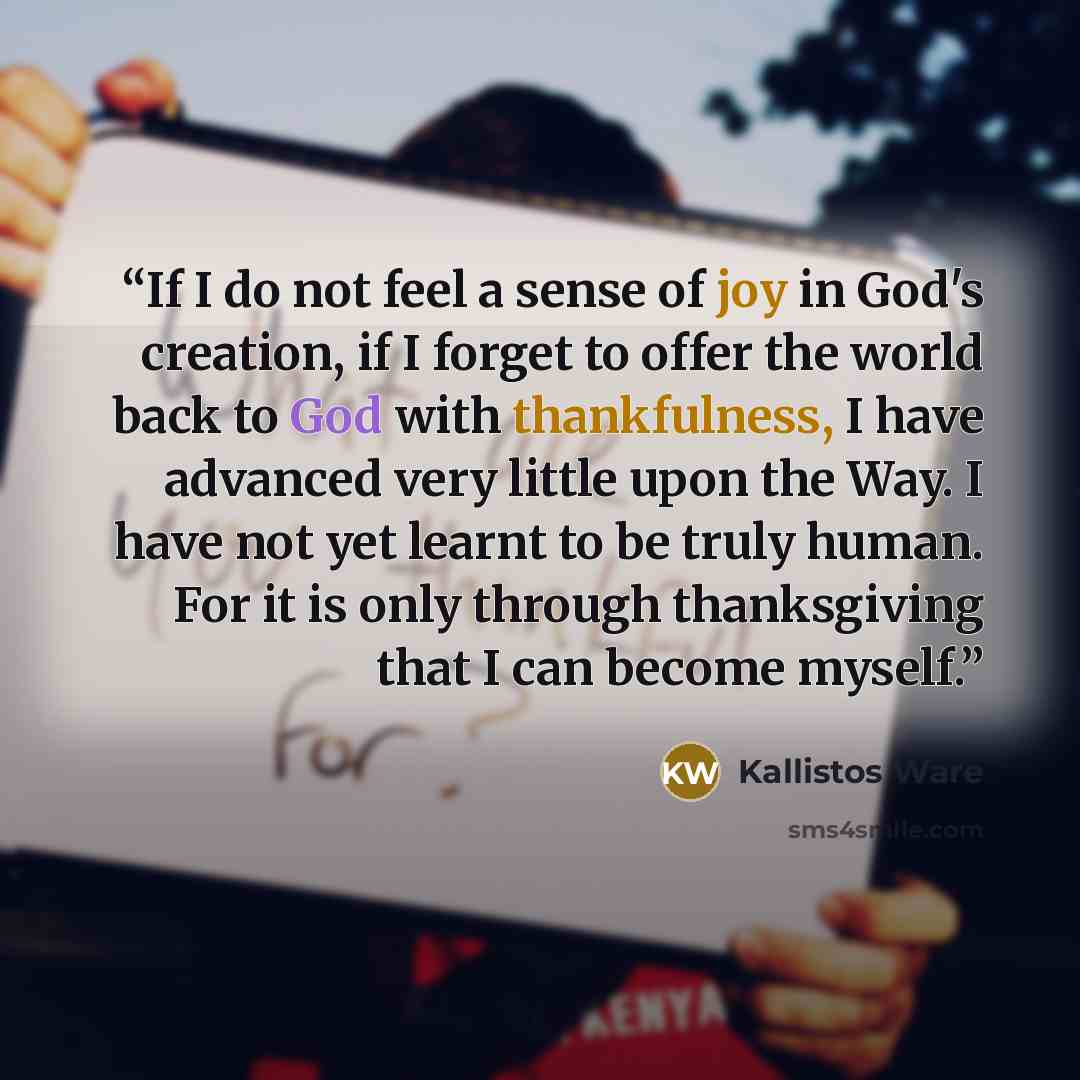 “If I do not feel a sense of joy in God's creation, if I forget to offer the world back to God with thankfulness, I have advanced very little upon the Way. I have not yet learnt to be truly human. For it is only through thanksgiving that I can become myself.” quote by Kallistos Ware
