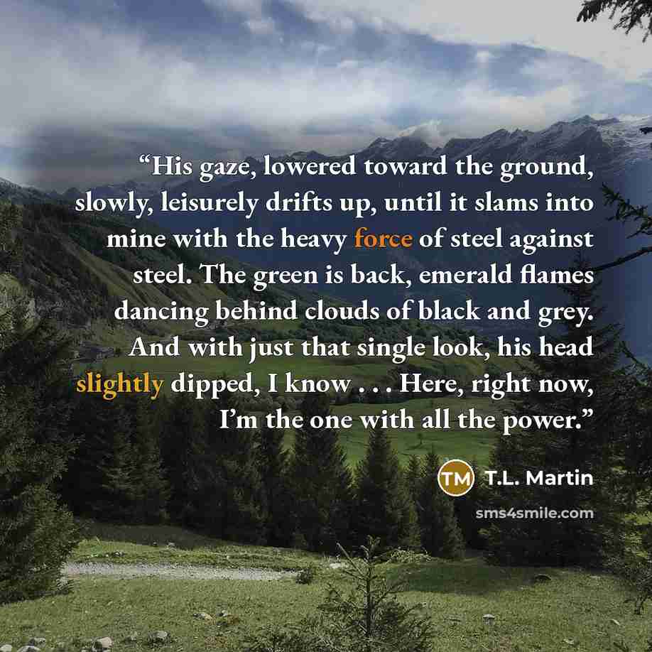 “His gaze, lowered toward the ground, slowly, leisurely drifts up, until it slams into mine with the heavy force of steel against steel. The green is back, emerald flames dancing behind clouds of black and grey. And with just that single look, his head slightly dipped, I know . . . Here, right now…” quote by T.L. Martin
