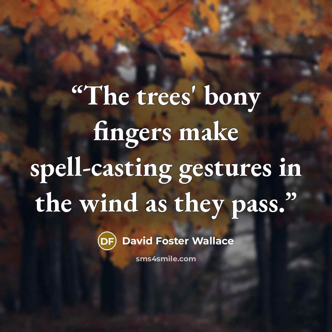 “The trees' bony fingers make spell-casting gestures in the wind as they pass.” quote by David Foster Wallace