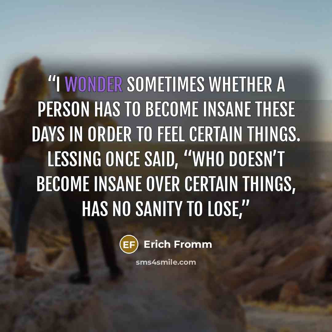 “I wonder sometimes whether a person has to become insane these days in order to feel certain things. Lessing once said, “Who doesn’t become insane over certain things, has no sanity to lose,” quote by Erich Fromm
