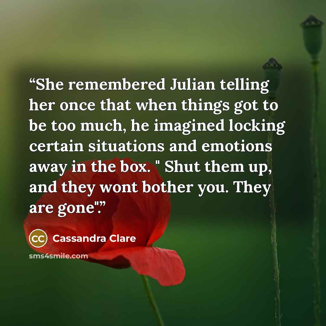 “She remembered Julian telling her once that when things got to be too much, he imagined locking certain situations and emotions away in the box. " Shut them up, and they wont bother you. They are gone".” quote by Cassandra Clare