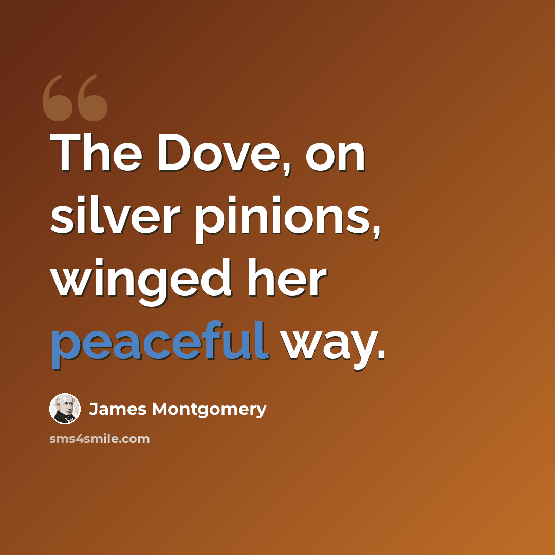 “The Dove, on silver pinions, winged her peaceful way.” quote by James Montgomery