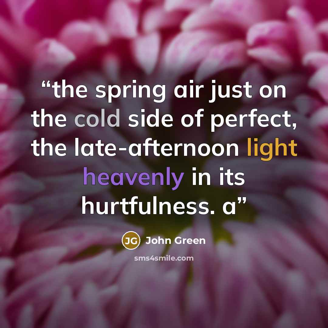 “the spring air just on the cold side of perfect, the late-afternoon light heavenly in its hurtfulness. a” quote by John Green