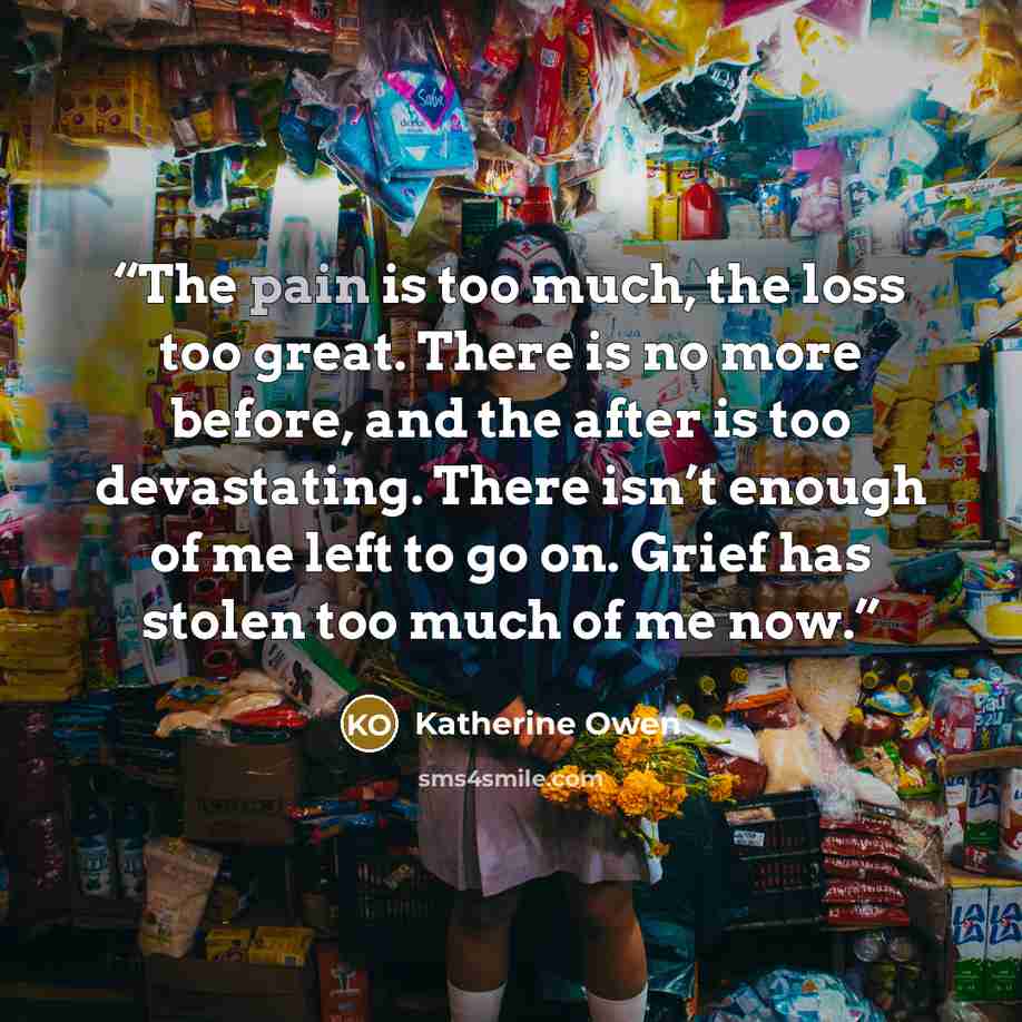 “The pain is too much, the loss too great. There is no more before, and the after is too devastating. There isn’t enough of me left to go on. Grief has stolen too much of me now.” quote by Katherine Owen