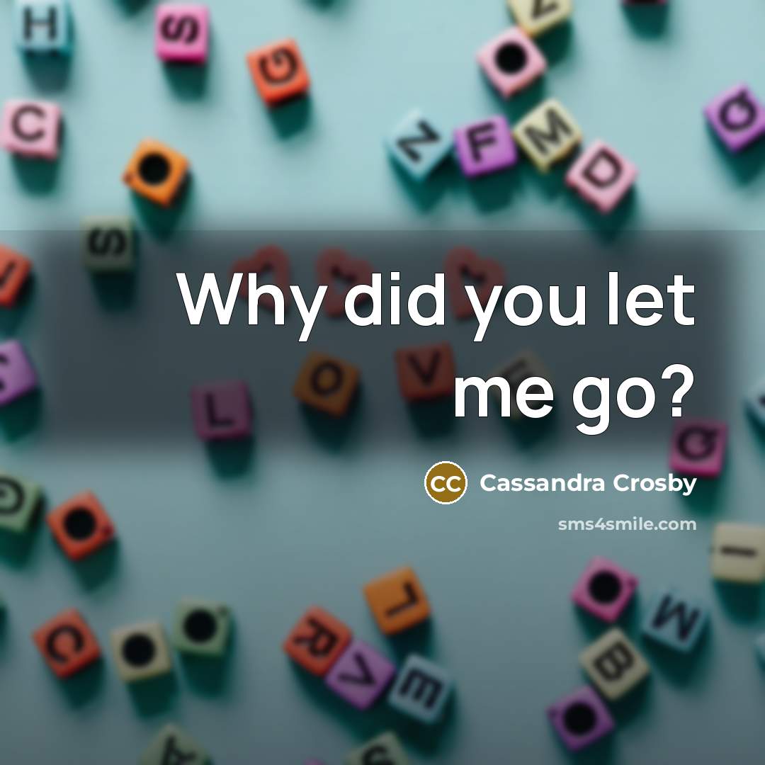 “Why did you let me go?” quote by Cassandra Crosby