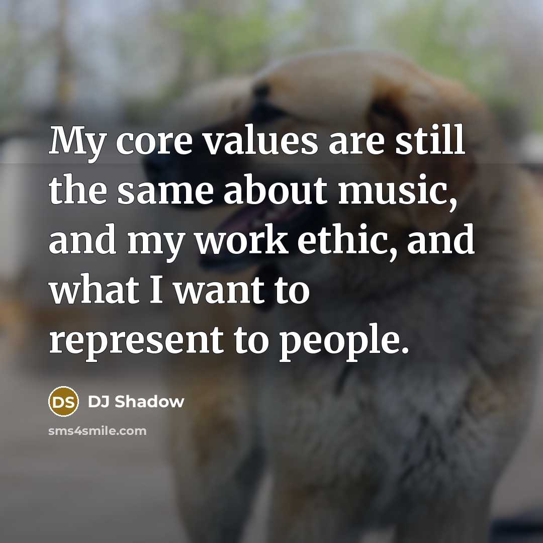“My core values are still the same about music, and my work ethic, and what I want to represent to people.” quote by DJ Shadow
