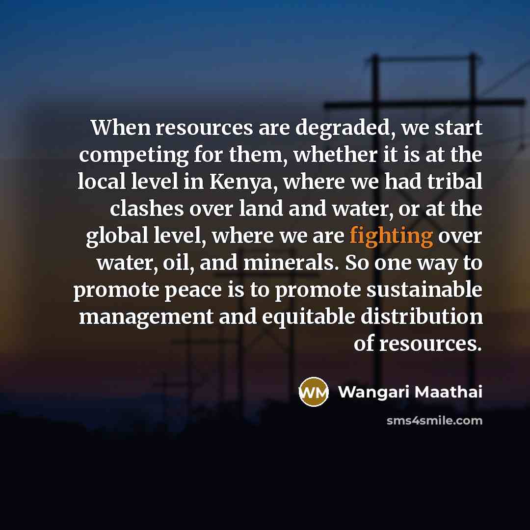 “When resources are degraded, we start competing for them, whether it is at the local level in Kenya, where we had tribal clashes over land and water, or at the global level, where we are fighting over water, oil, and minerals. So one way to promote peace is to promote sustainable management and…” quote by Wangari Maathai