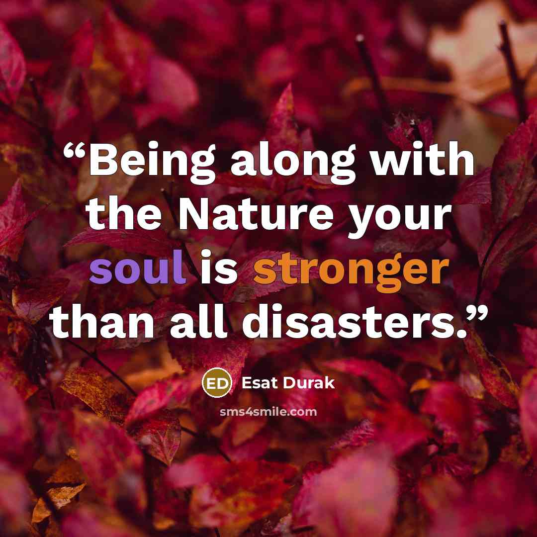 “Being along with the Nature your soul is stronger than all disasters.” quote by Esat Durak