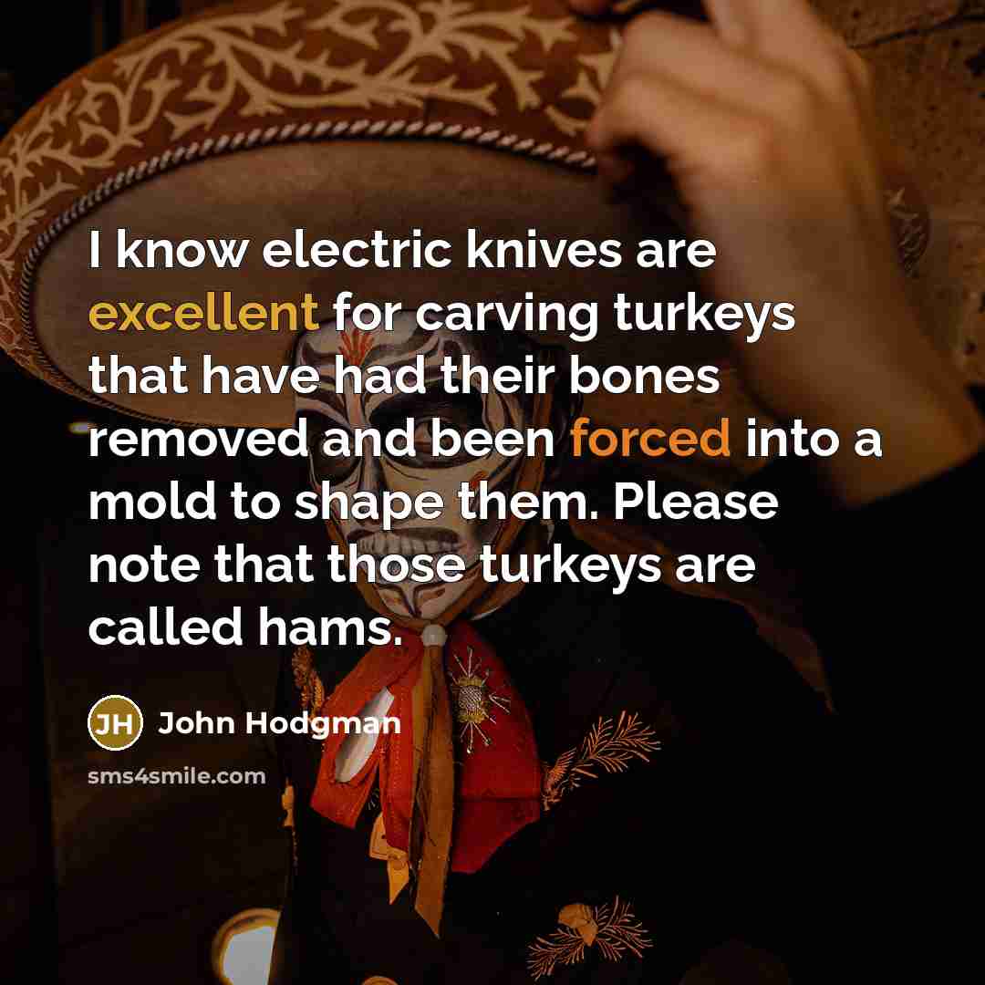 “I know electric knives are excellent for carving turkeys that have had their bones removed and been forced into a mold to shape them. Please note that those turkeys are called hams.” quote by John Hodgman