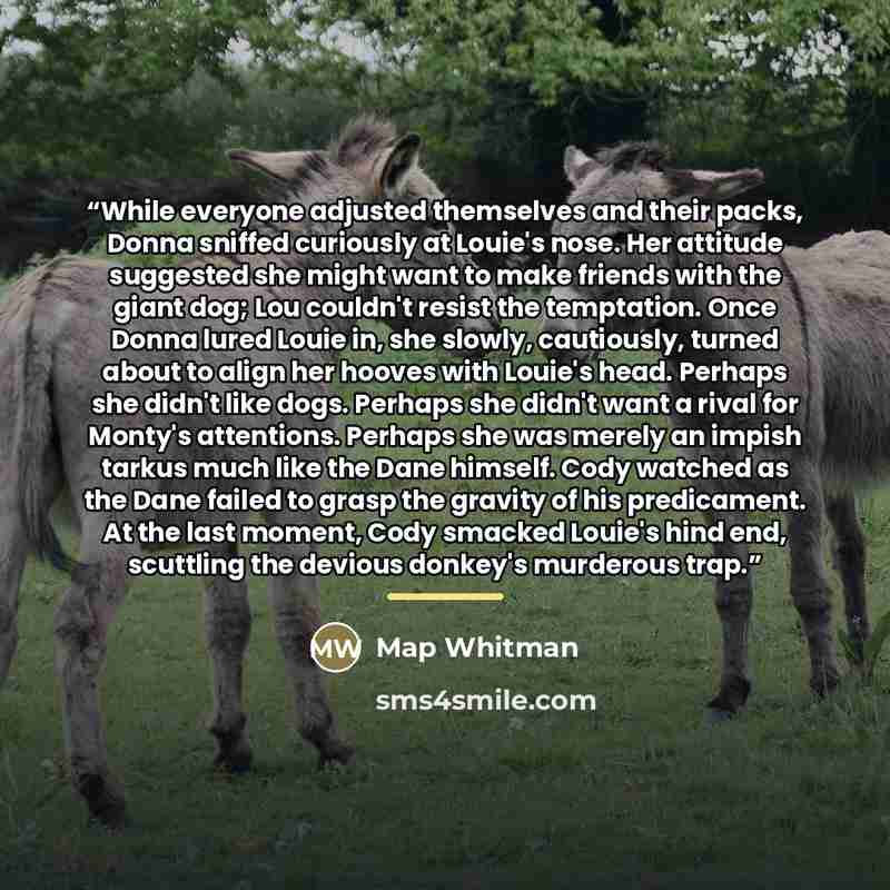 “While everyone adjusted themselves and their packs, Donna sniffed curiously at Louie's nose. Her attitude suggested she might want to make friends with the giant dog; Lou couldn't resist the temptation. Once Donna lured Louie in, she slowly, cautiously, turned about to align her hooves with…” quote by Map Whitman