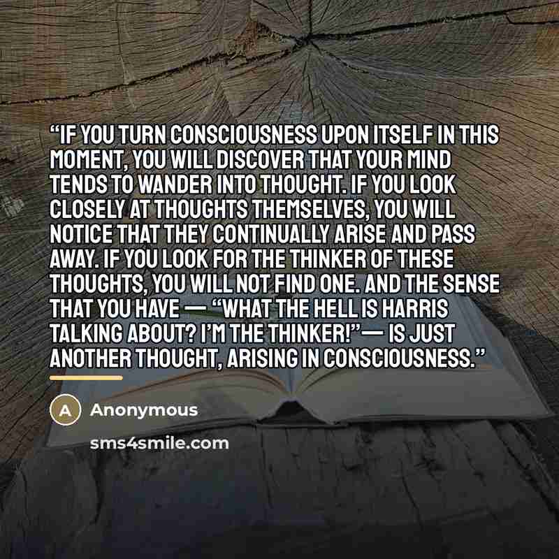 “If you turn consciousness upon itself in this moment, you will discover that your mind tends to wander into thought. If you look closely at thoughts themselves, you will notice that they continually arise and pass away. If you look for the thinker of these thoughts, you will not find one. And the…” quote by Anonymous