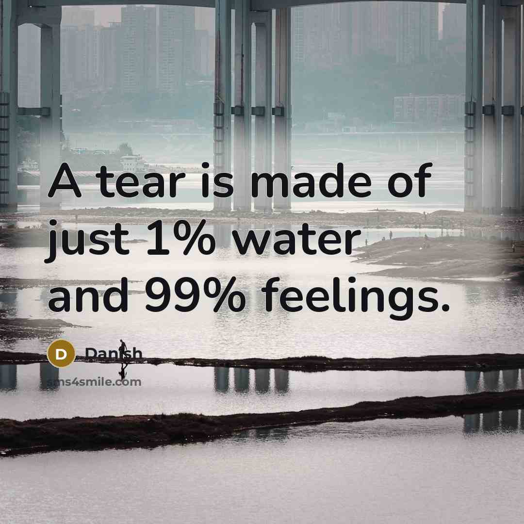 “A tear is made of just 1% water and 99% feelings.” quote by Danish