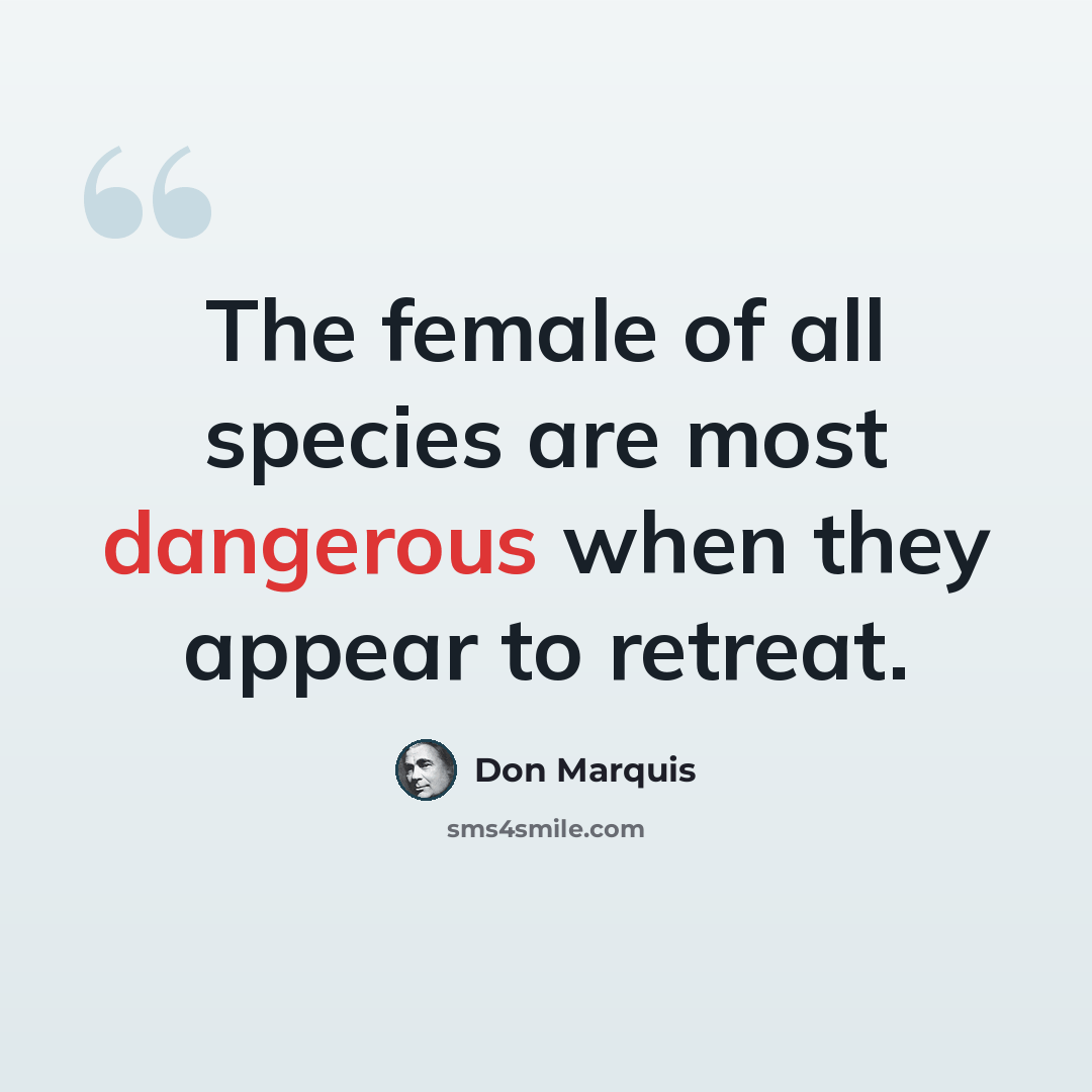 “The female of all species are most dangerous when they appear to retreat.” quote by Don Marquis