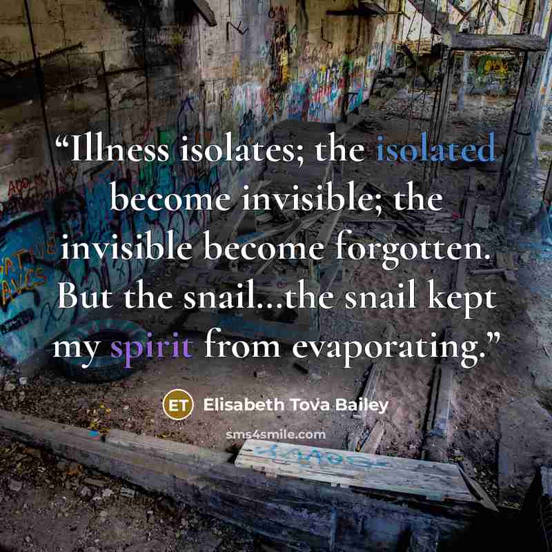 “Illness isolates; the isolated become invisible; the invisible become forgotten. But the snail…the snail kept my spirit from evaporating.” quote by Elisabeth Tova Bailey