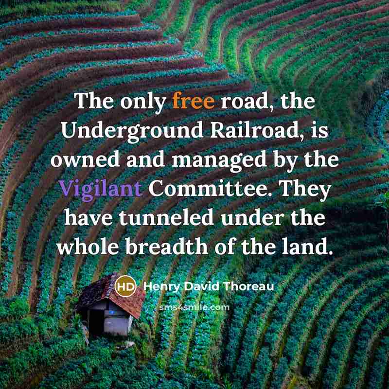 “The only free road, the Underground Railroad, is owned and managed by the Vigilant Committee. They have tunneled under the whole breadth of the land.” quote by Henry David Thoreau