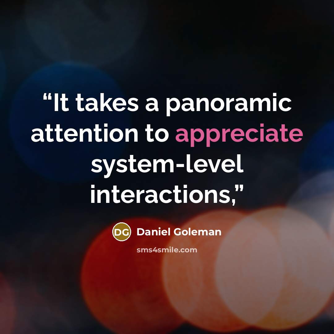 “It takes a panoramic attention to appreciate system-level interactions,” quote by Daniel Goleman