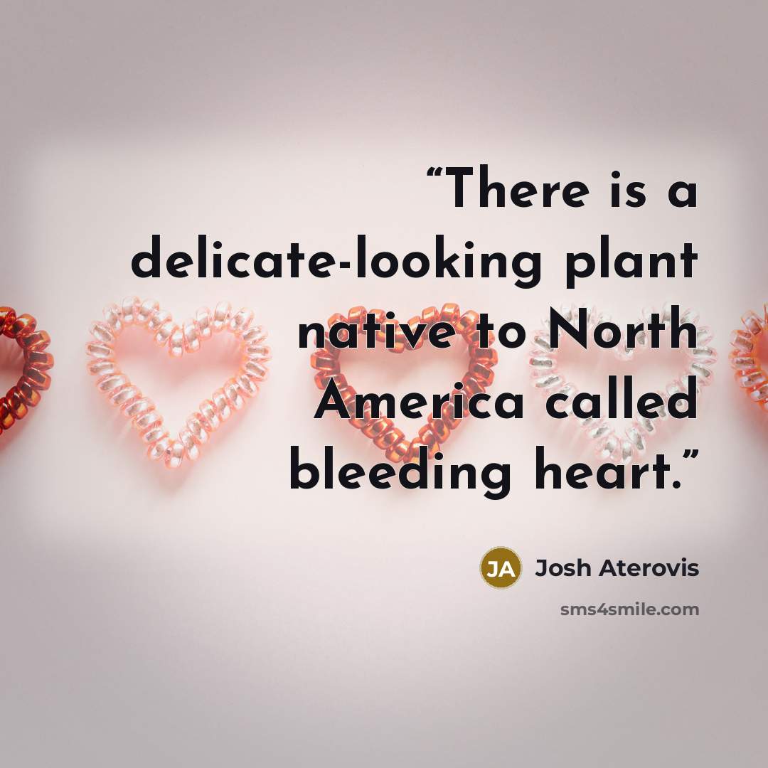 “There is a delicate-looking plant native to North America called bleeding heart.” quote by Josh Aterovis