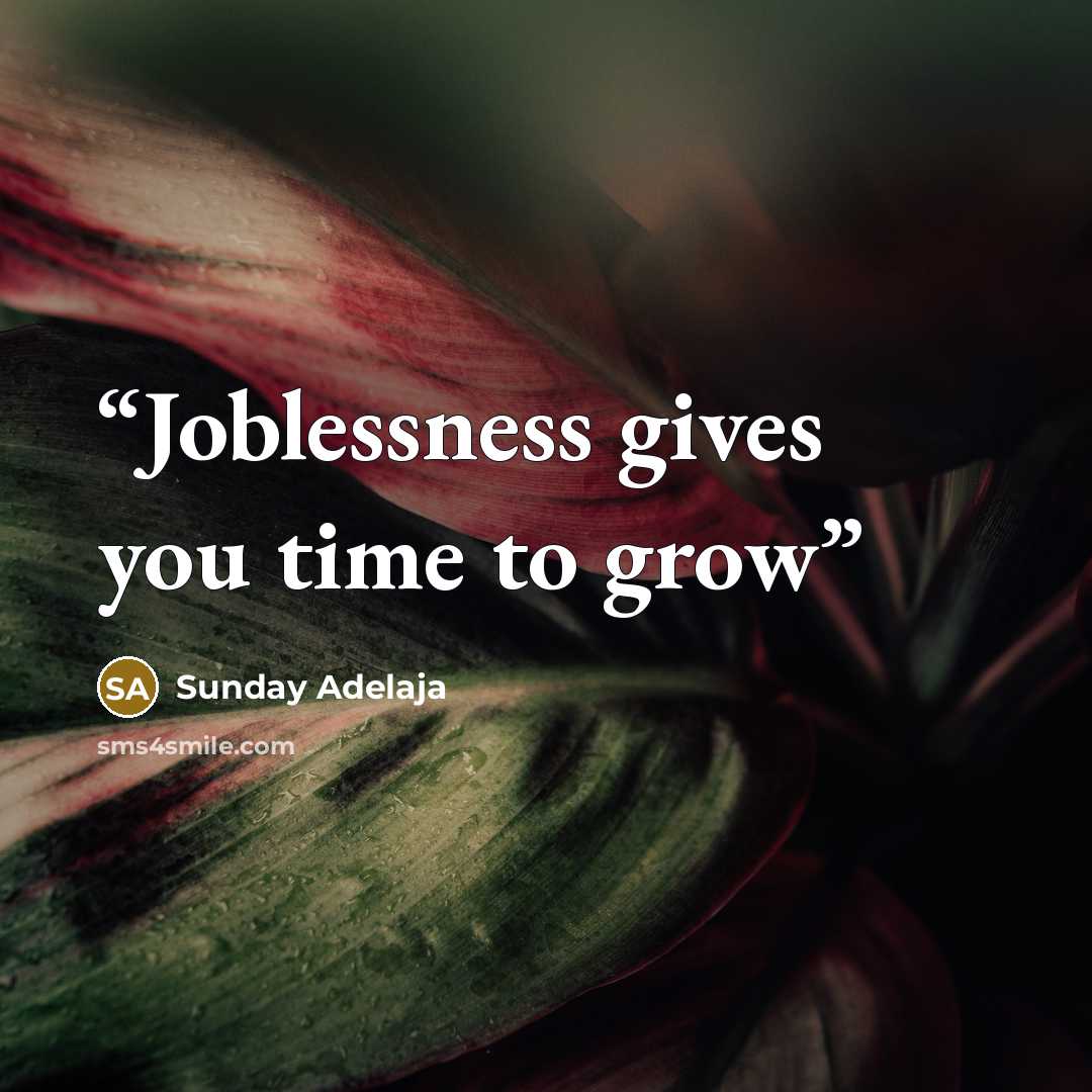 “Joblessness gives you time to grow” quote by Sunday Adelaja
